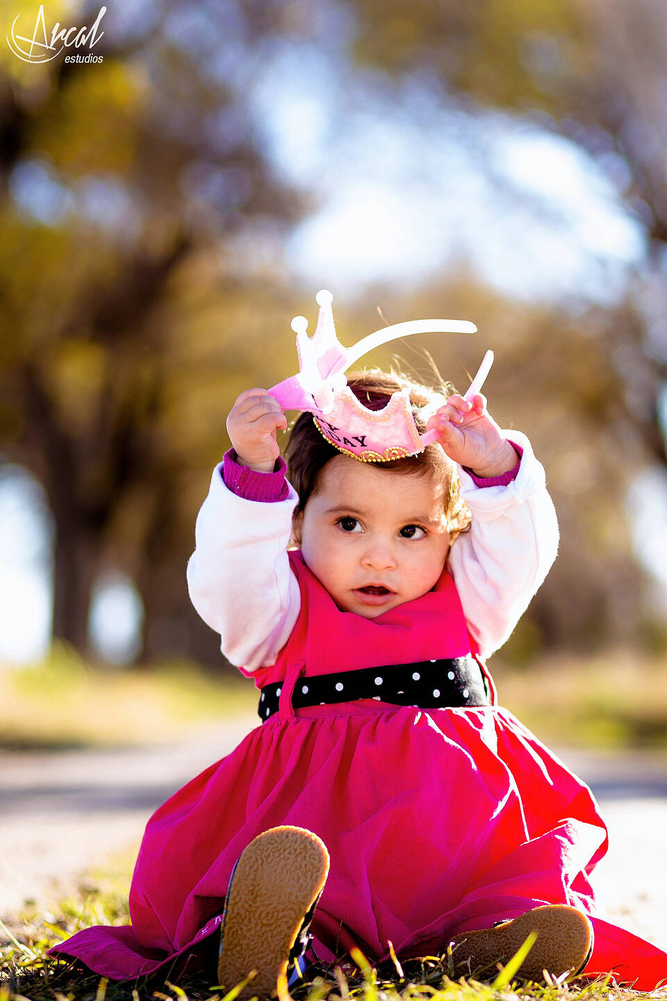 003_www.arcalestudios.com