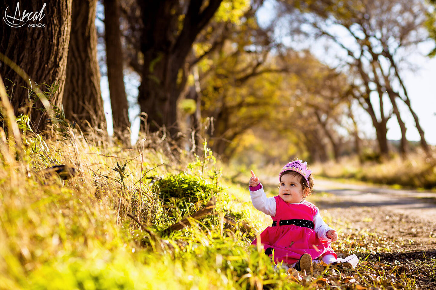 012_www.arcalestudios.com