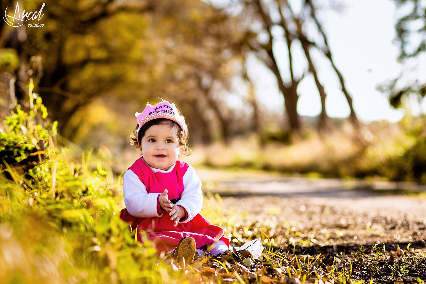 015_www.arcalestudios.com