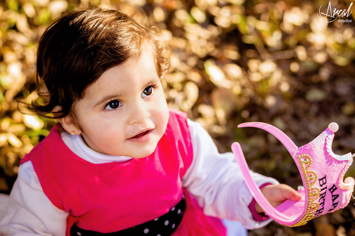 018_www.arcalestudios.comA