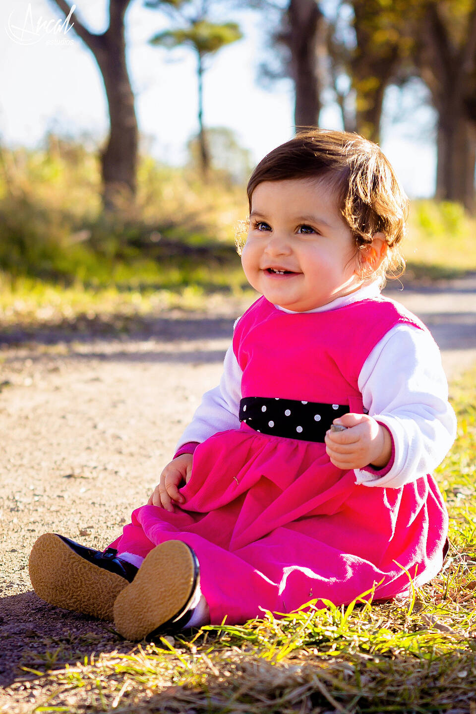 019_www.arcalestudios.com