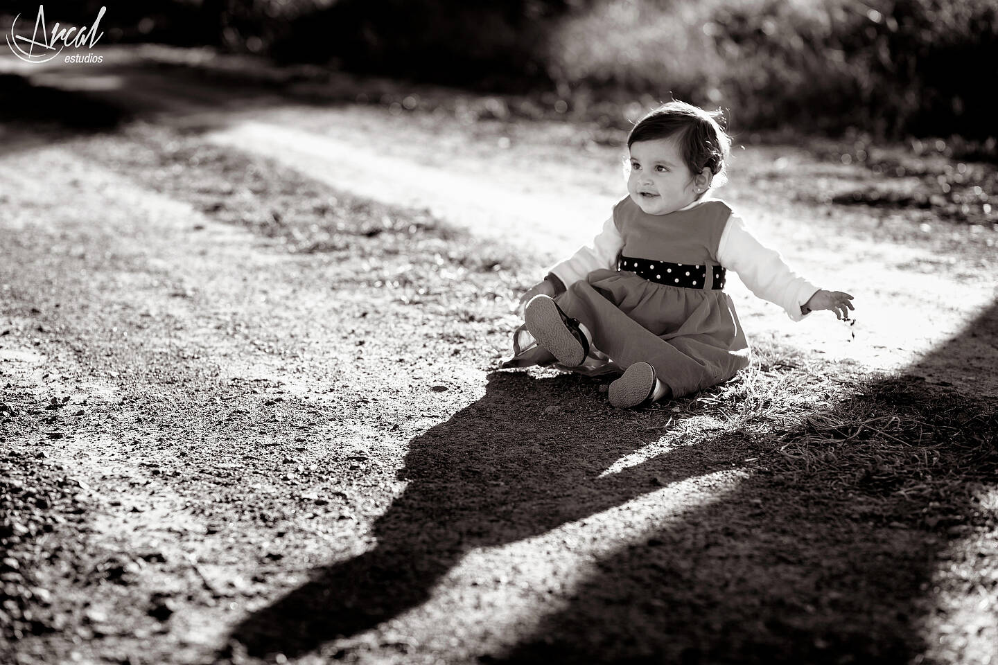 022_www.arcalestudios.com