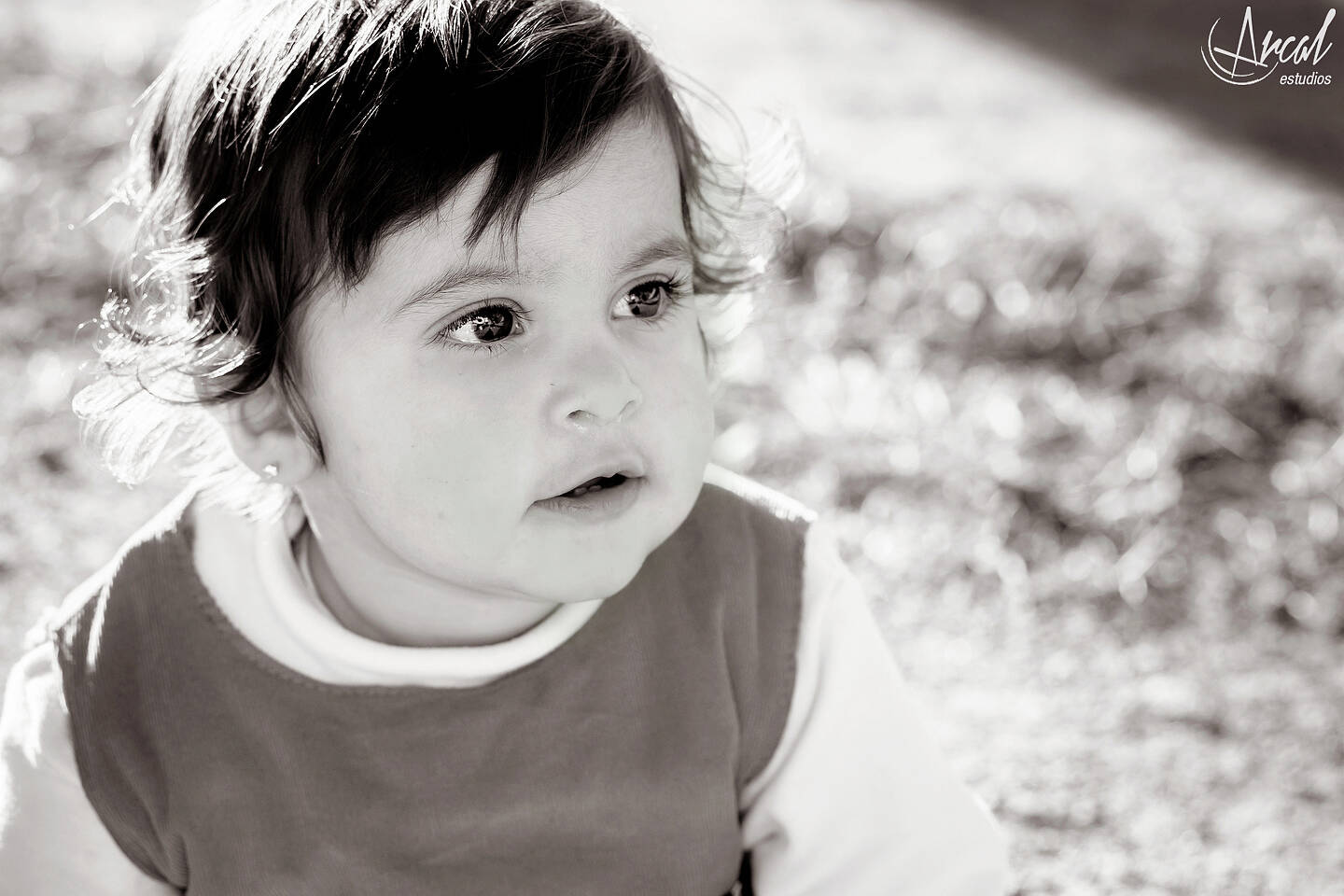 032_www.arcalestudios.comA