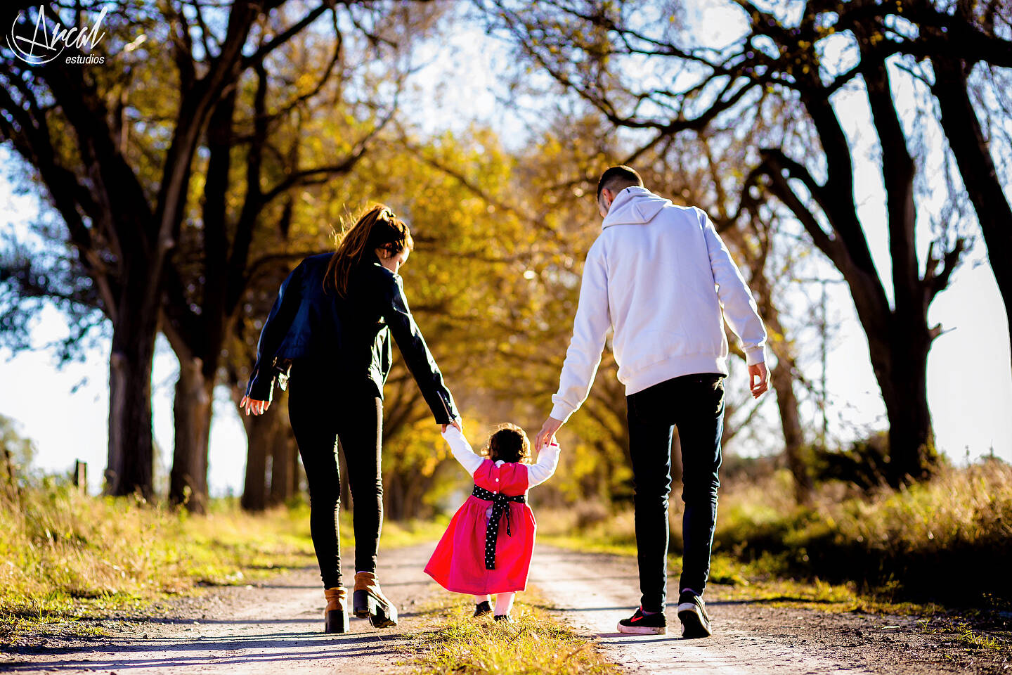 040_www.arcalestudios.com