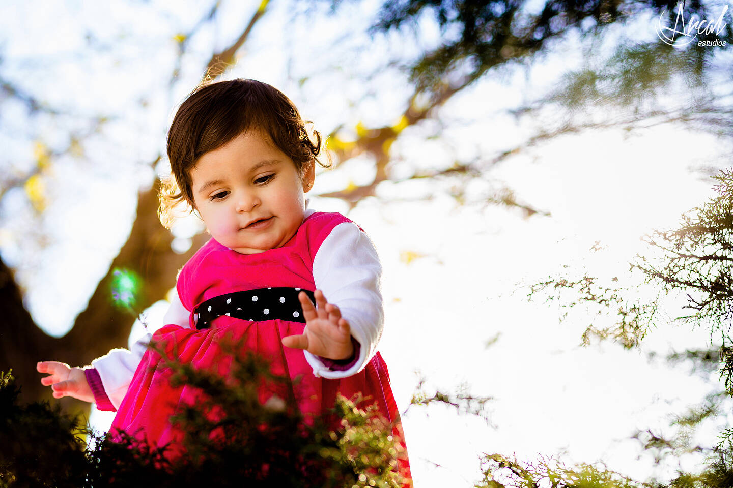 043_www.arcalestudios.comA