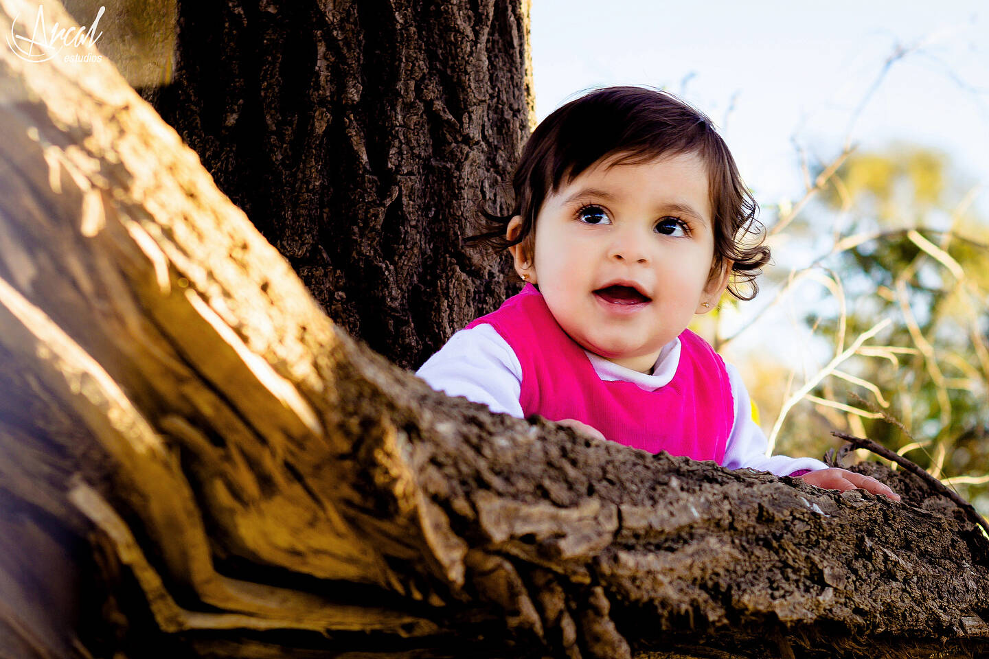 049_www.arcalestudios.com