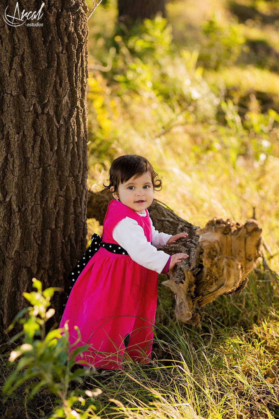 051_www.arcalestudios.com