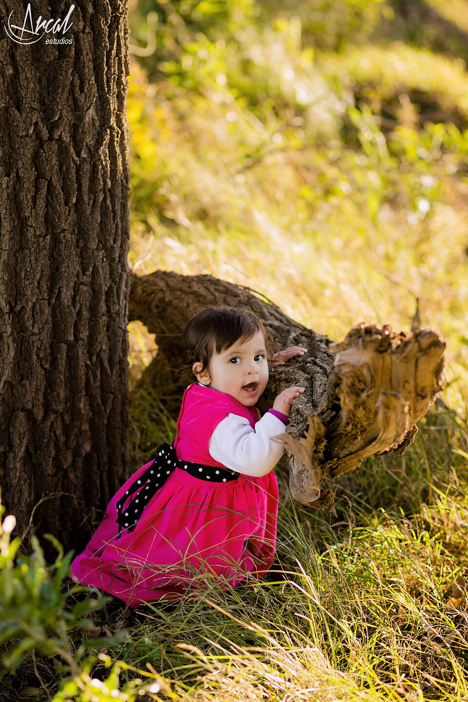 052_www.arcalestudios.com