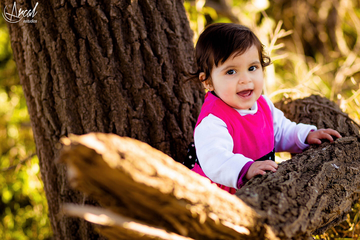 053_www.arcalestudios.com