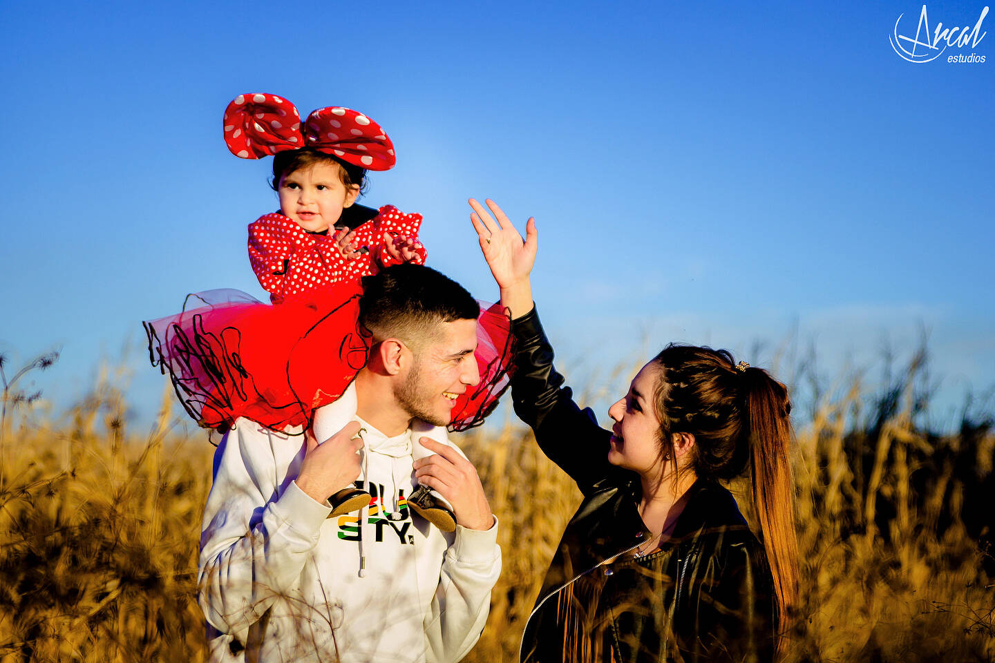 061_www.arcalestudios.comA