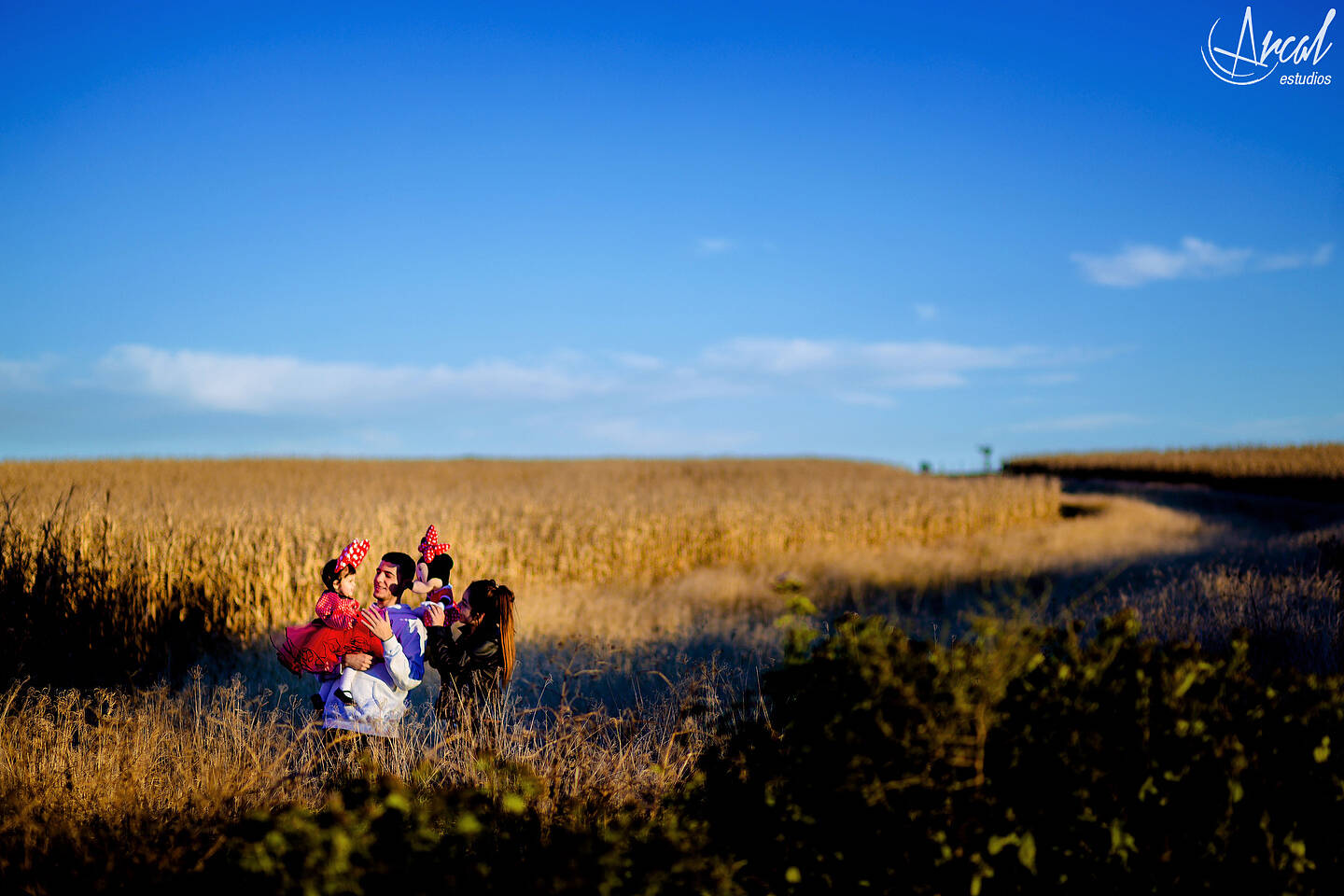 062_www.arcalestudios.comA