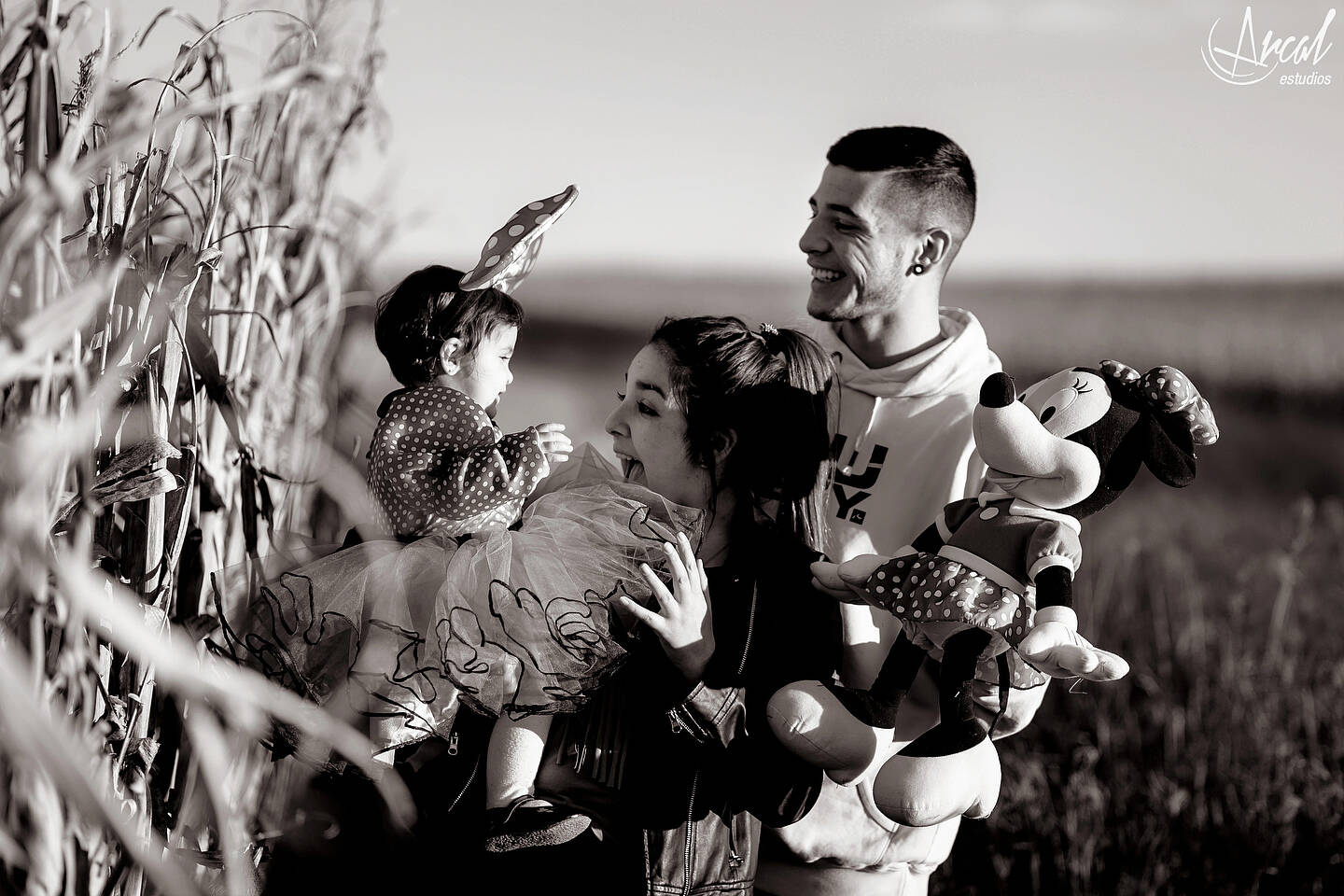 064_www.arcalestudios.comA