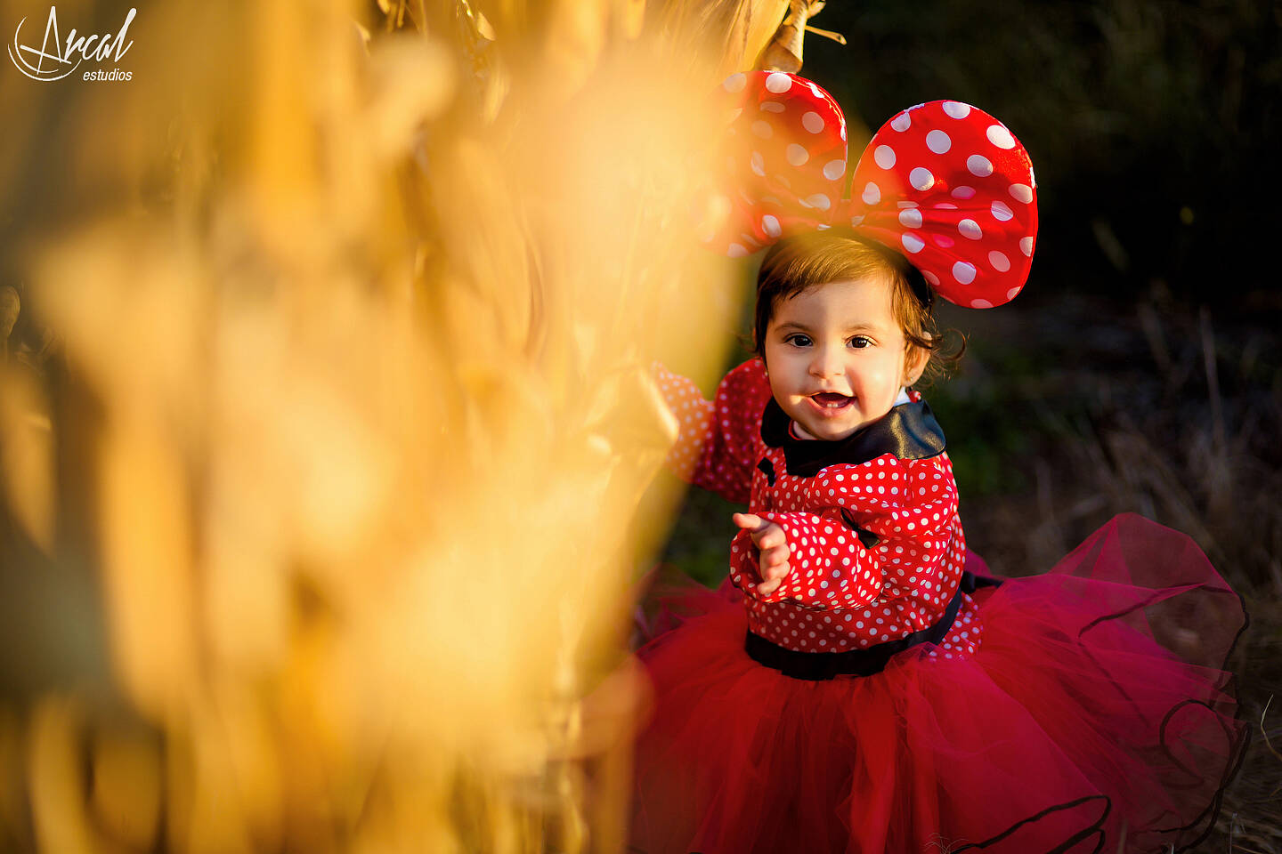 067_www.arcalestudios.com