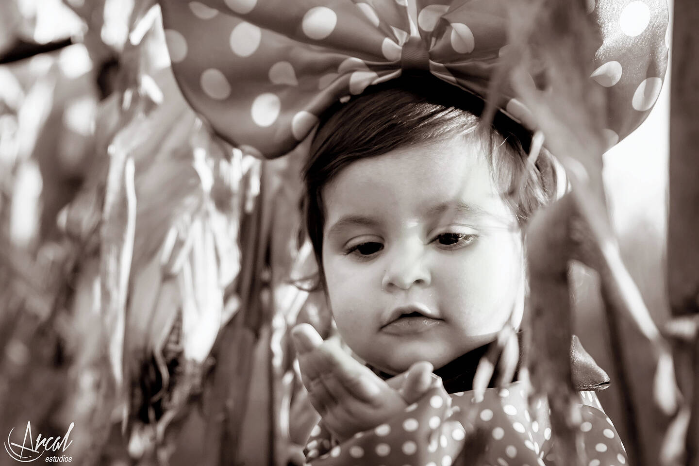 074_www.arcalestudios.com