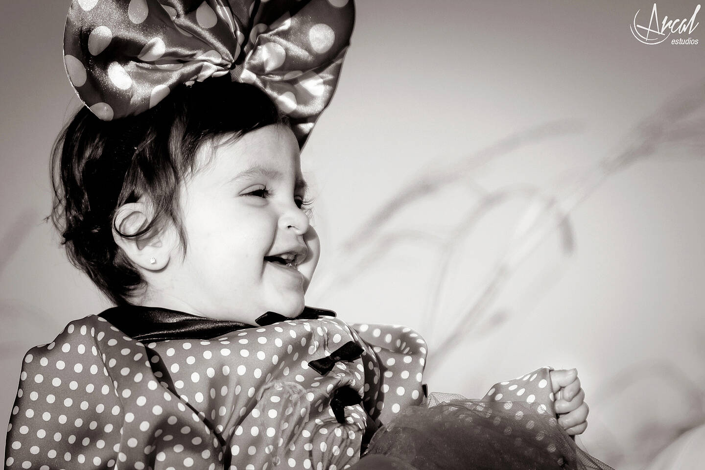 079_www.arcalestudios.comA