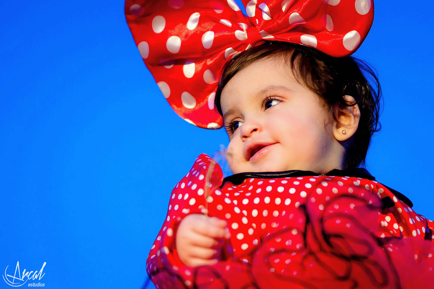 080_www.arcalestudios.com