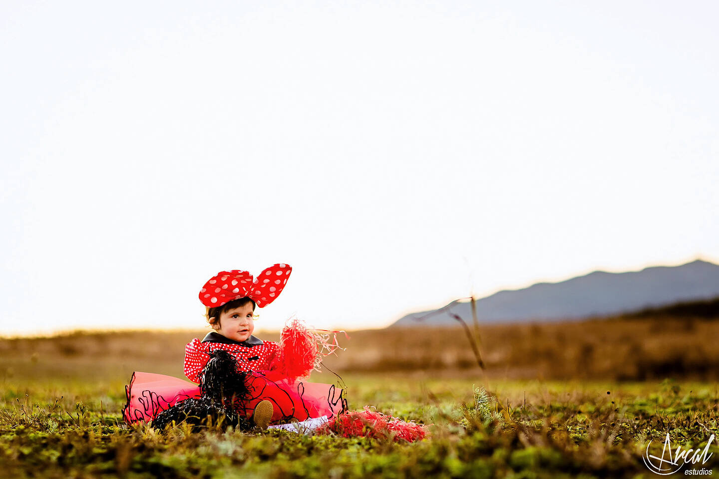 094_www.arcalestudios.com