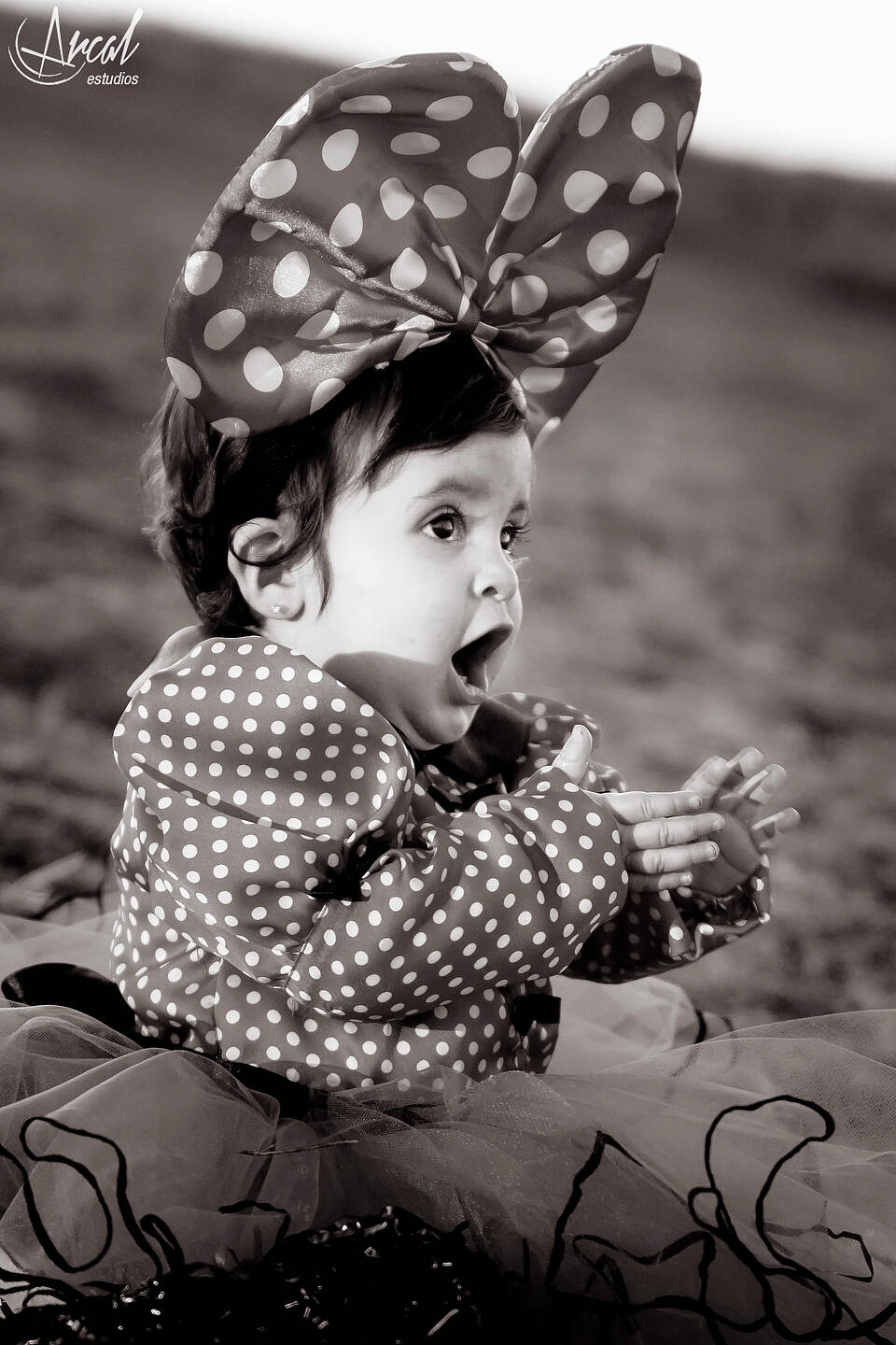 102_www.arcalestudios.com