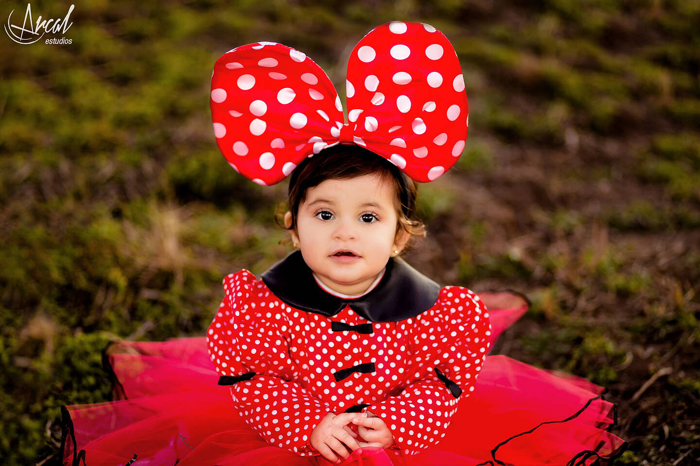 105_www.arcalestudios.com