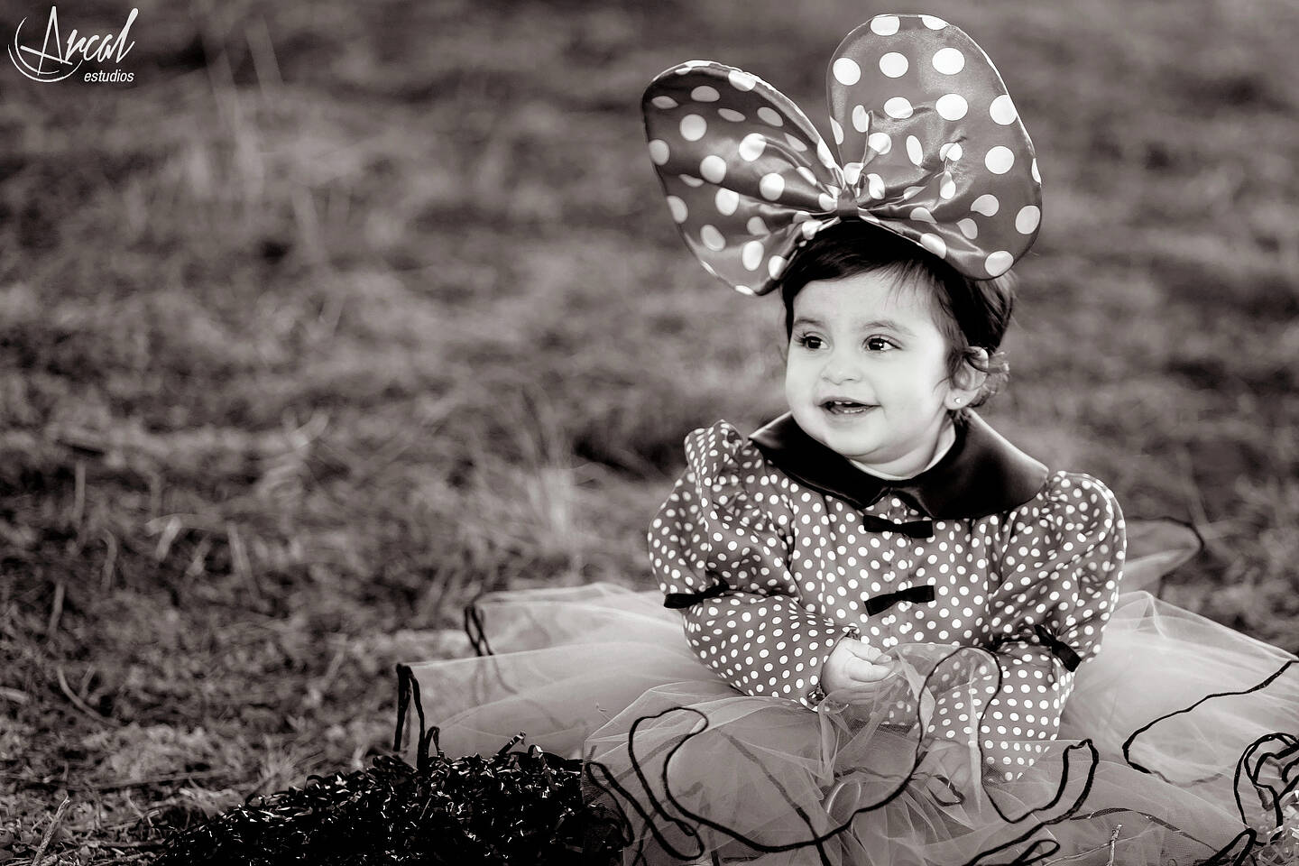 106_www.arcalestudios.com