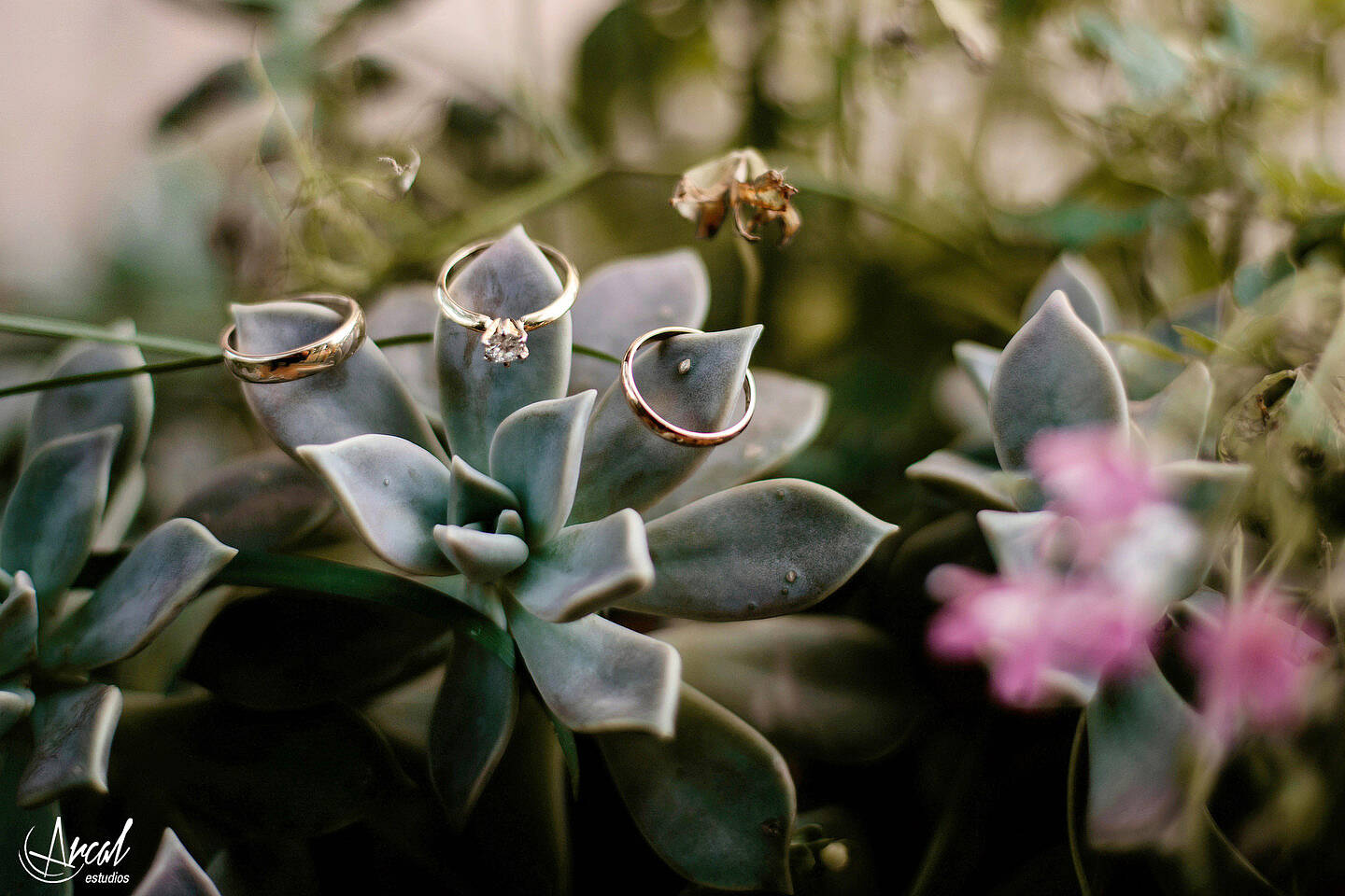 033-dara-y-joe-boda-en-estancia-el-rosal-agua-de-oro-tocado-de-petit-atelier-152183-O