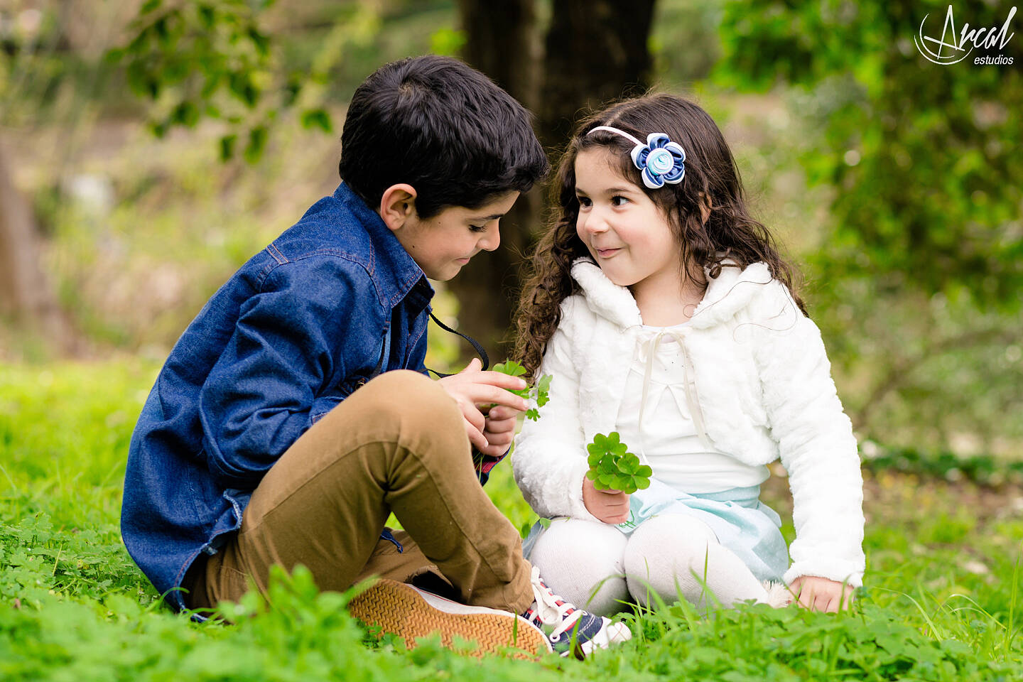 044-www-arcalestudios-com-16598