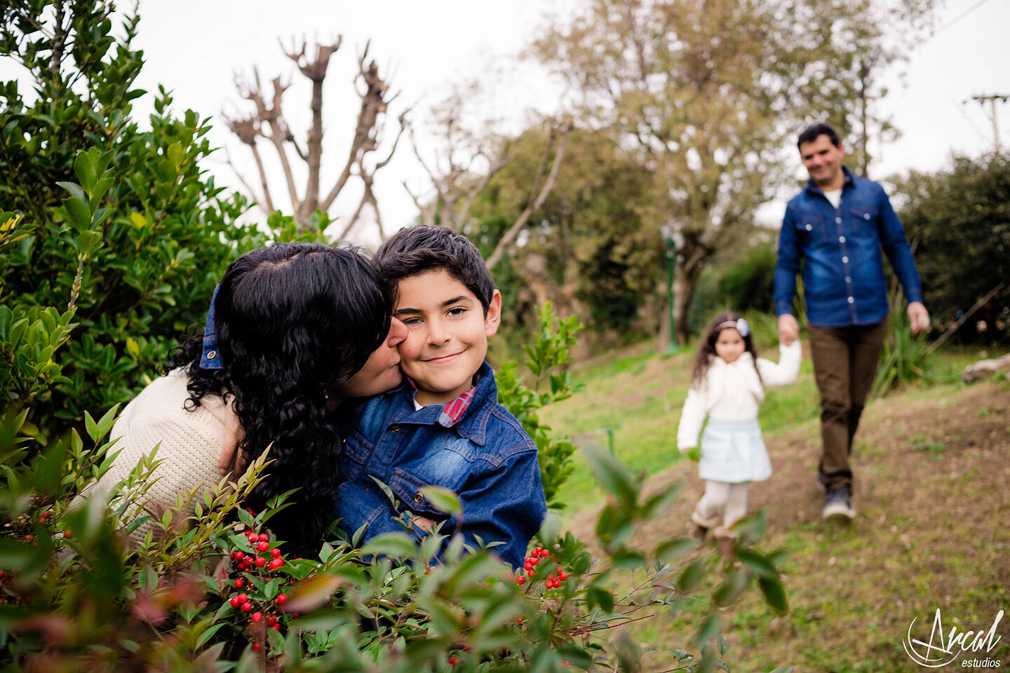 050-www-arcalestudios-com-16598