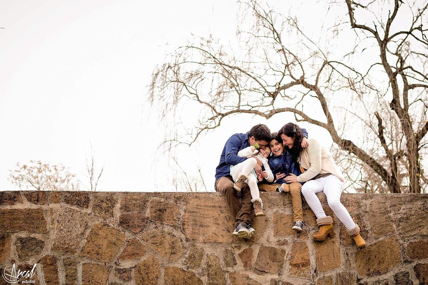 065-www-arcalestudios-com-16598