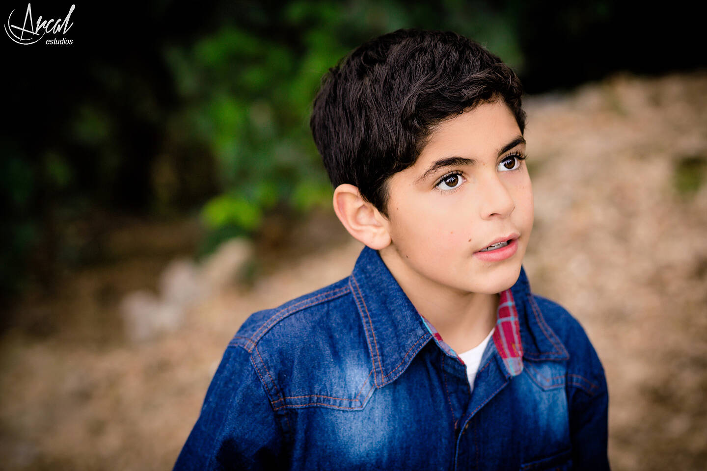 087-www-arcalestudios-com-16598