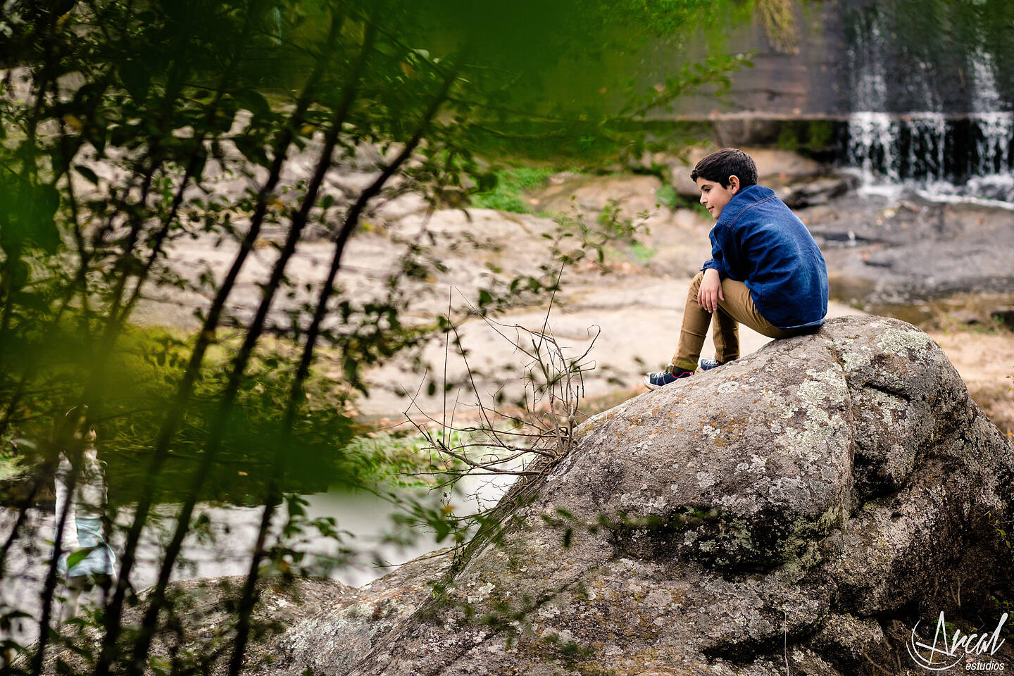 115-www-arcalestudios-com-16598