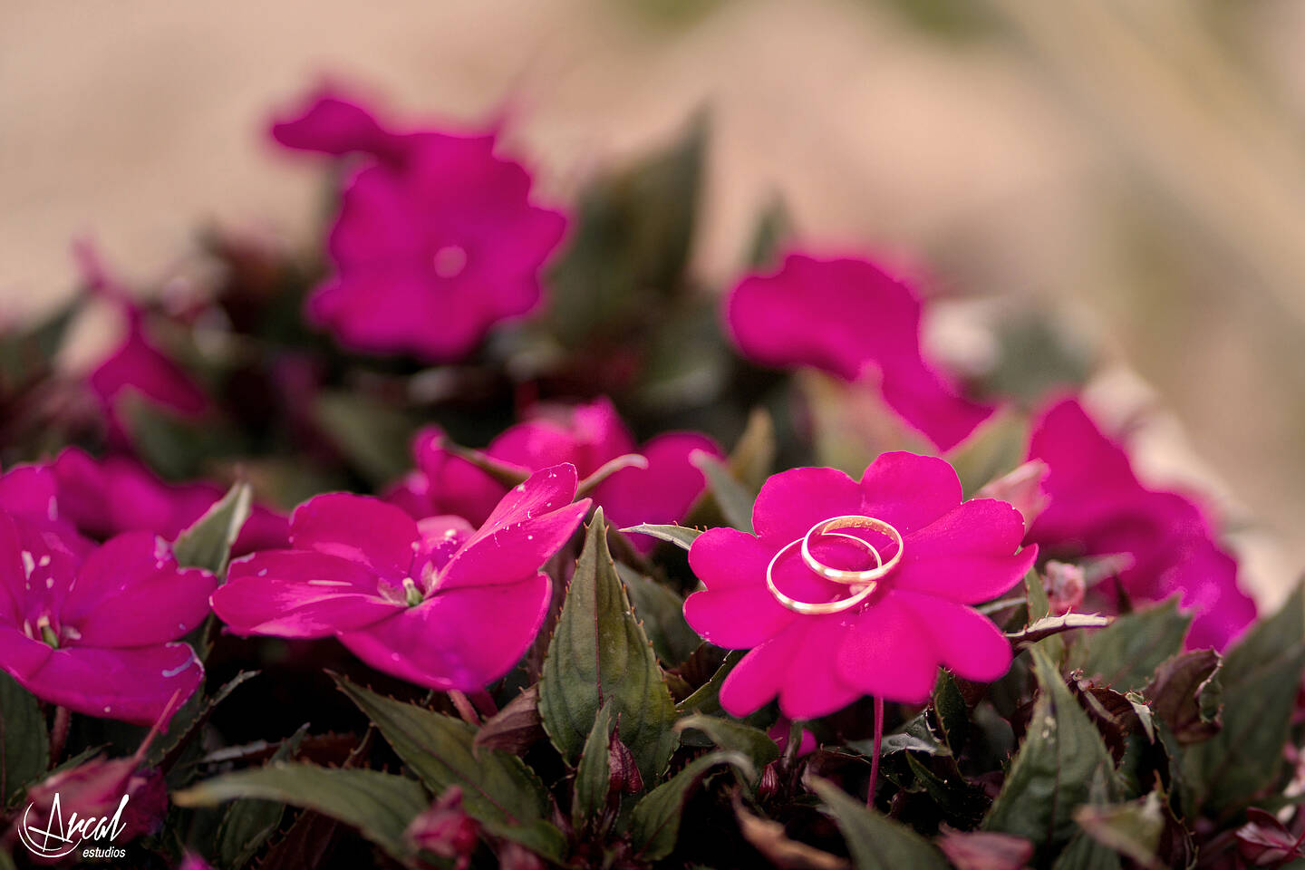 010_Maria y Gabriel, boda en Mojacar Playa, Almería