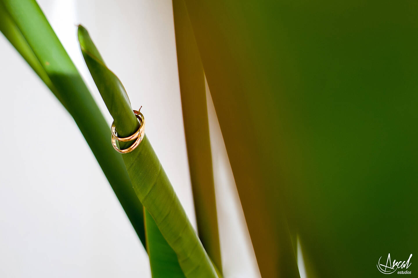 03_Alba y Pascual_hotel huerto del cura, eventos la magraña, elx 