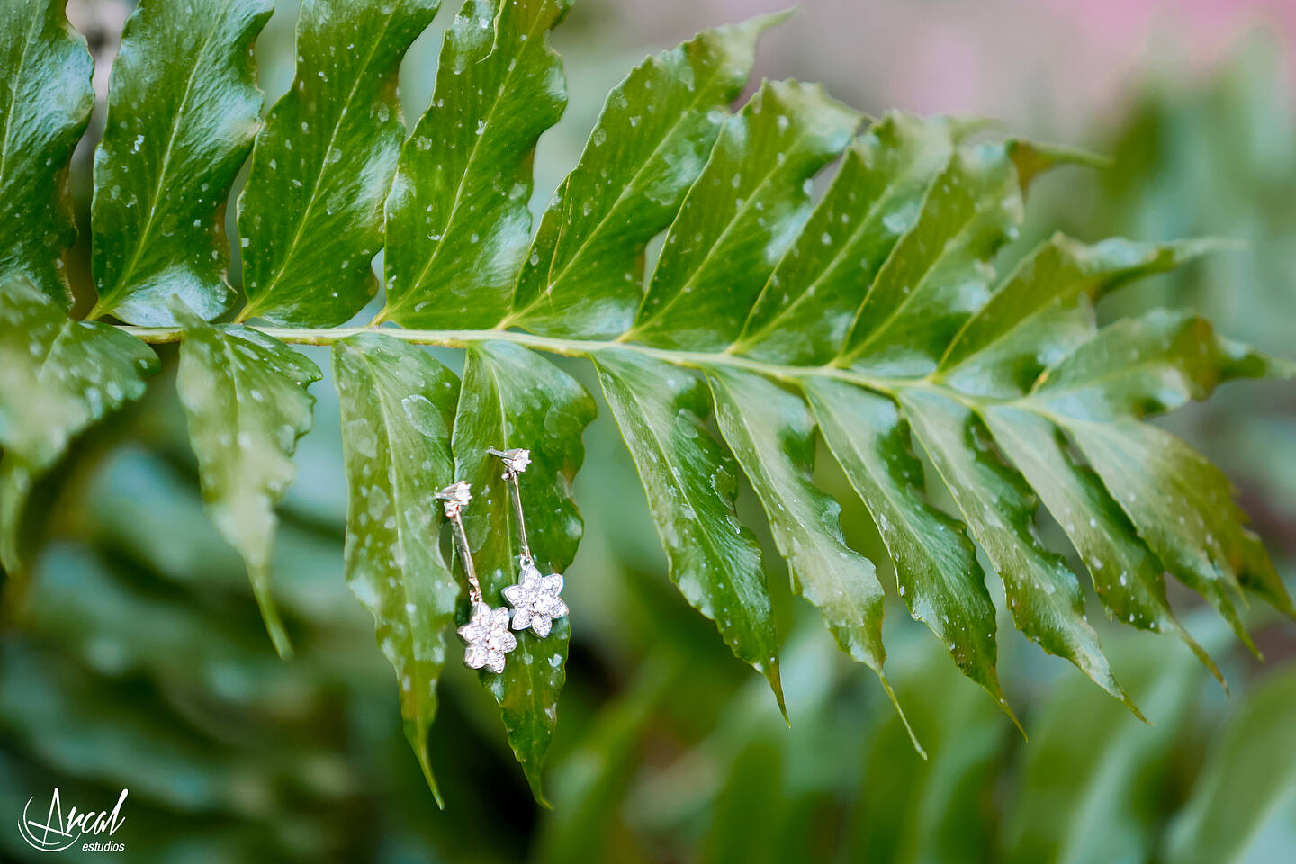 09_Alba y Pascual_hotel huerto del cura, eventos la magraña, elx 