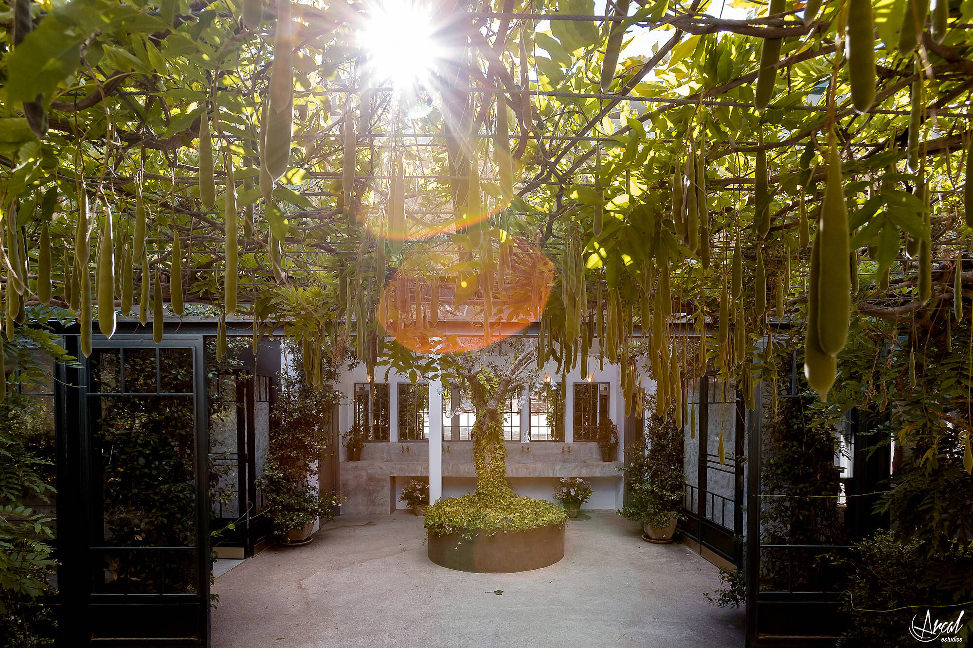 008_Elena y Javier - Madrid (WED PLANNER @misratoslibresbodas, @hastalosandaresmadrid @fincasotodegracia)A