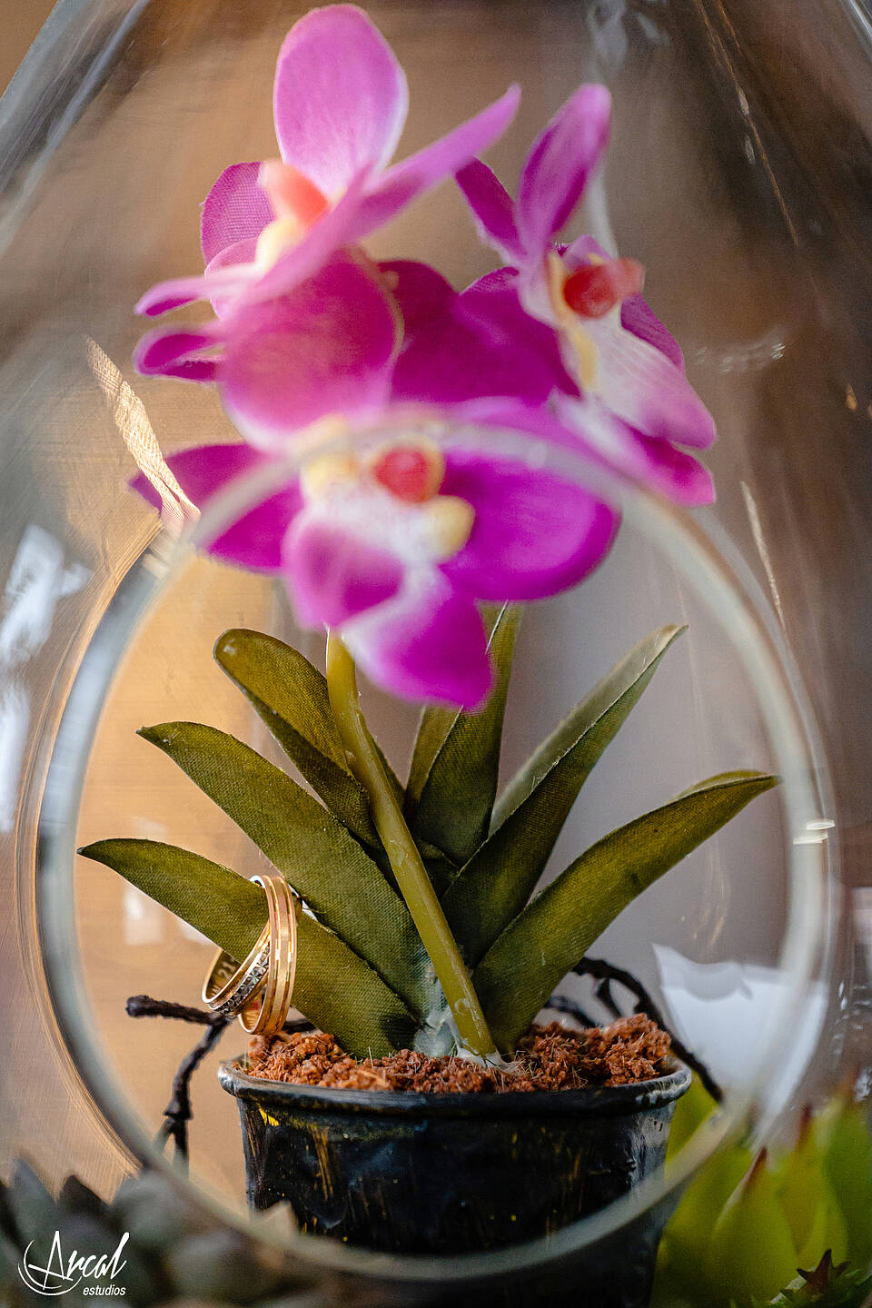 053_Sonia y Fran_Finca de bodas y eventos Los Olivos en el Vellon Madrid_@pronovias, @rachelplaisir, @avaguel, @floresnuevas, @nubeliart, @arcalestudios