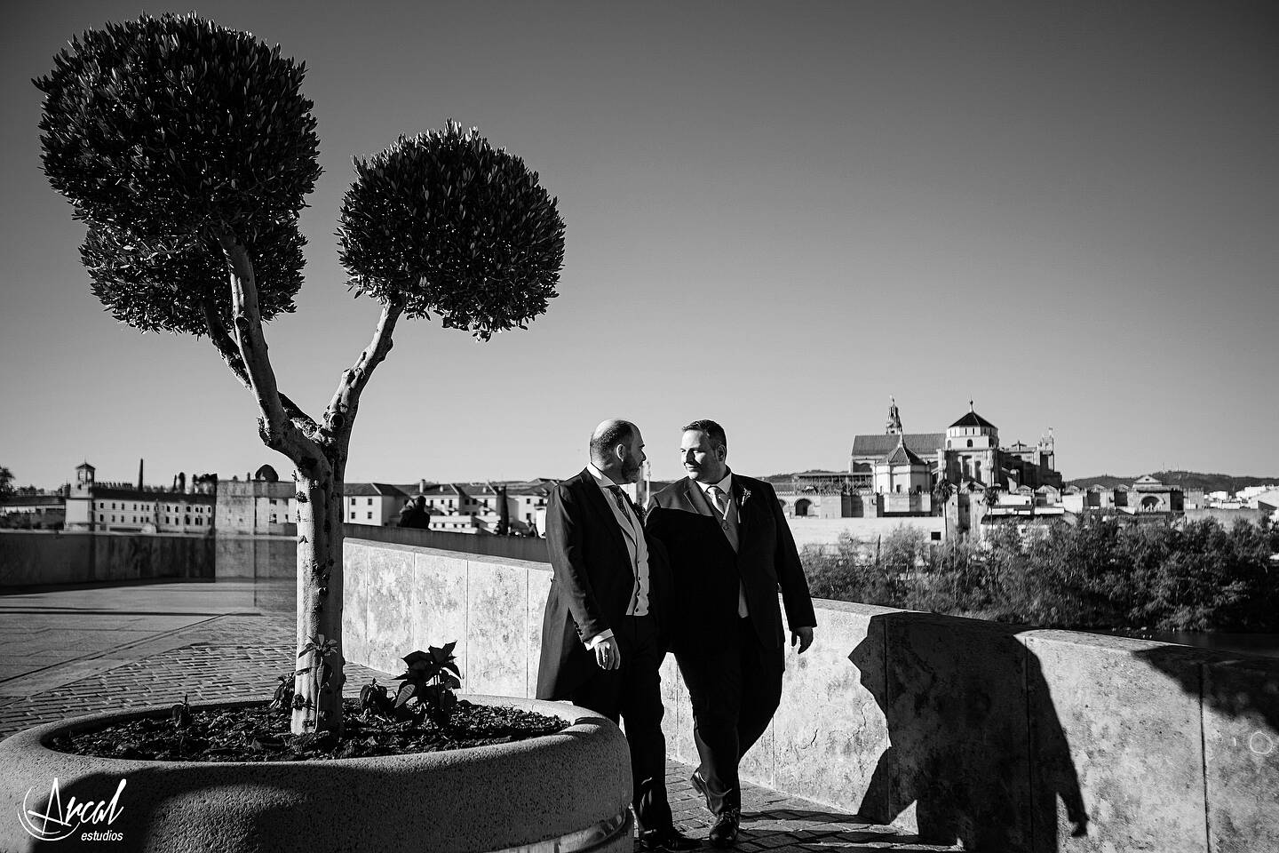 244_Boda de Javier y Juan Antonio_Palacio de Viana_Redes Sociales