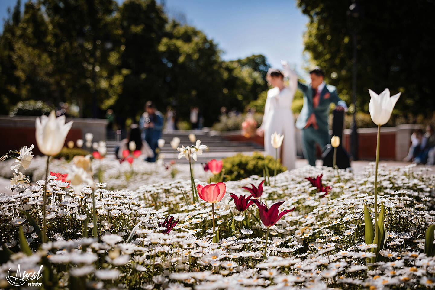 095_Mariola y Héctor, H&M Duo, Elopement Wedding en madrid, notaria frente a la casa de cristal, parque de retiro, notaria, Redes Sociales