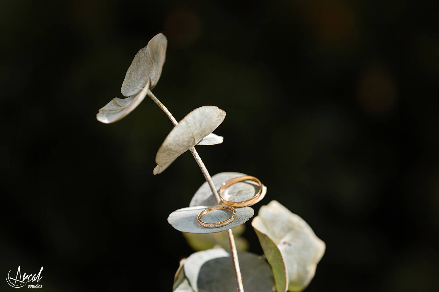 0231_Consuelo y Raúl boda en Finca Los Pilones del Valle, Ogrelo, MadridA