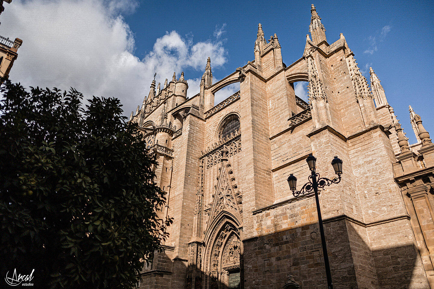 047_Ángela y Francisco boda en hacienda Al-Yamanah de Sanlúcar La Mayor de Sevilla, vestido de novia de pronovias, fotografía y vídeo by Arcal EstudiosA
