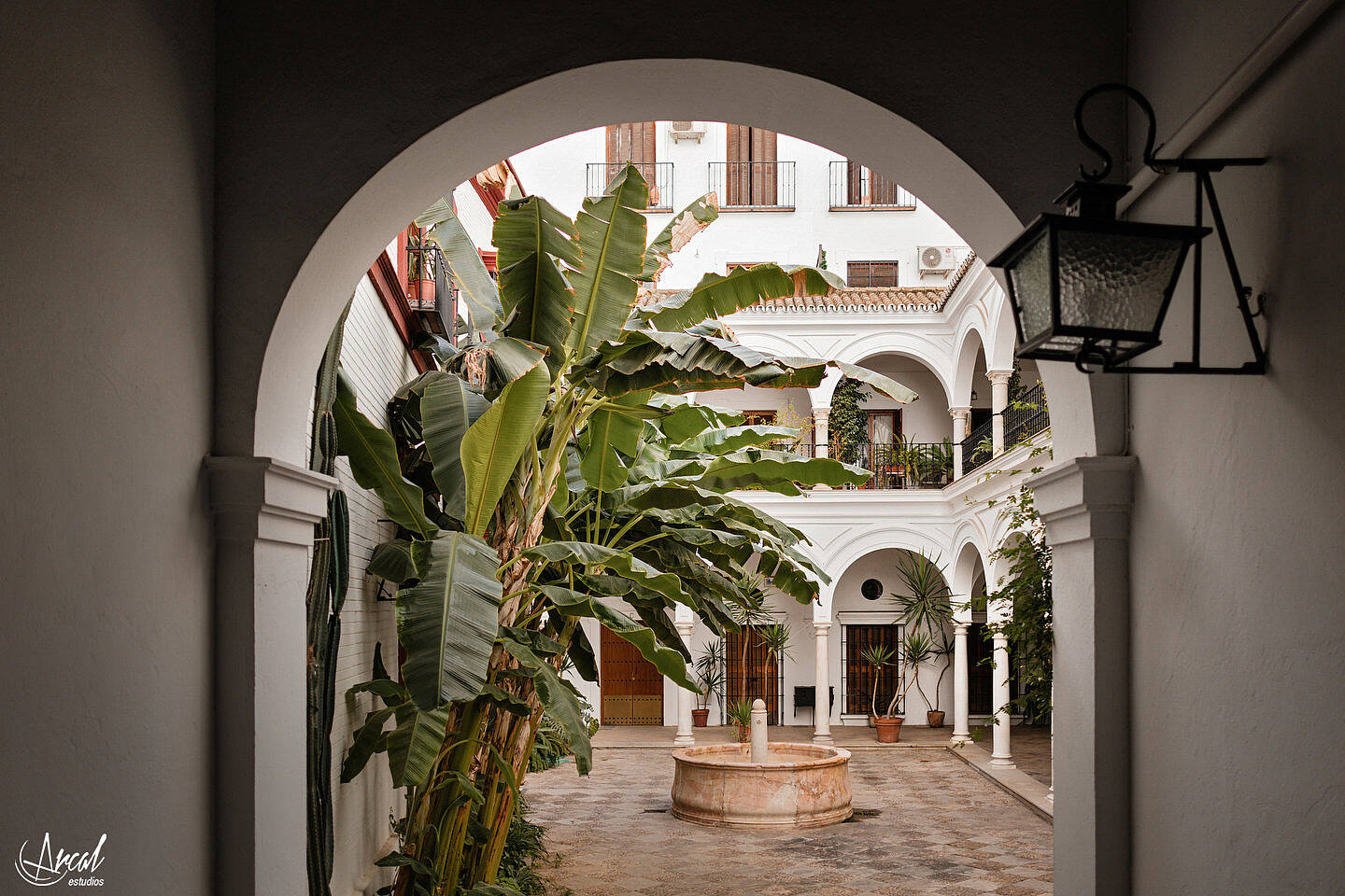 048_Ángela y Francisco boda en hacienda Al-Yamanah de Sanlúcar La Mayor de Sevilla, vestido de novia de pronovias, fotografía y vídeo by Arcal EstudiosA