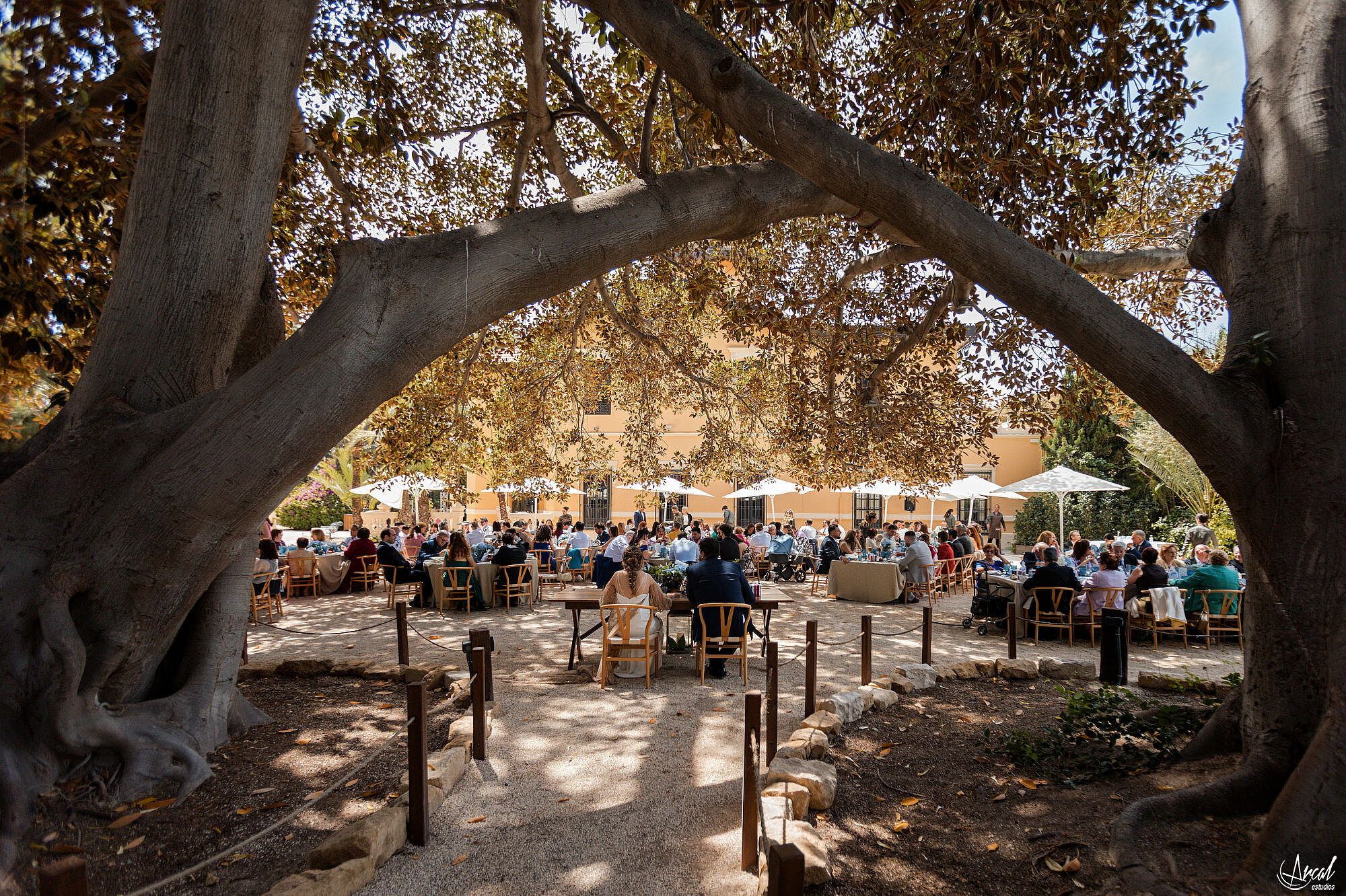 304_banquete-boda-anais-antonio-arcalestudios-pablomontoro-jardinesdeabril.JPG_RRSS