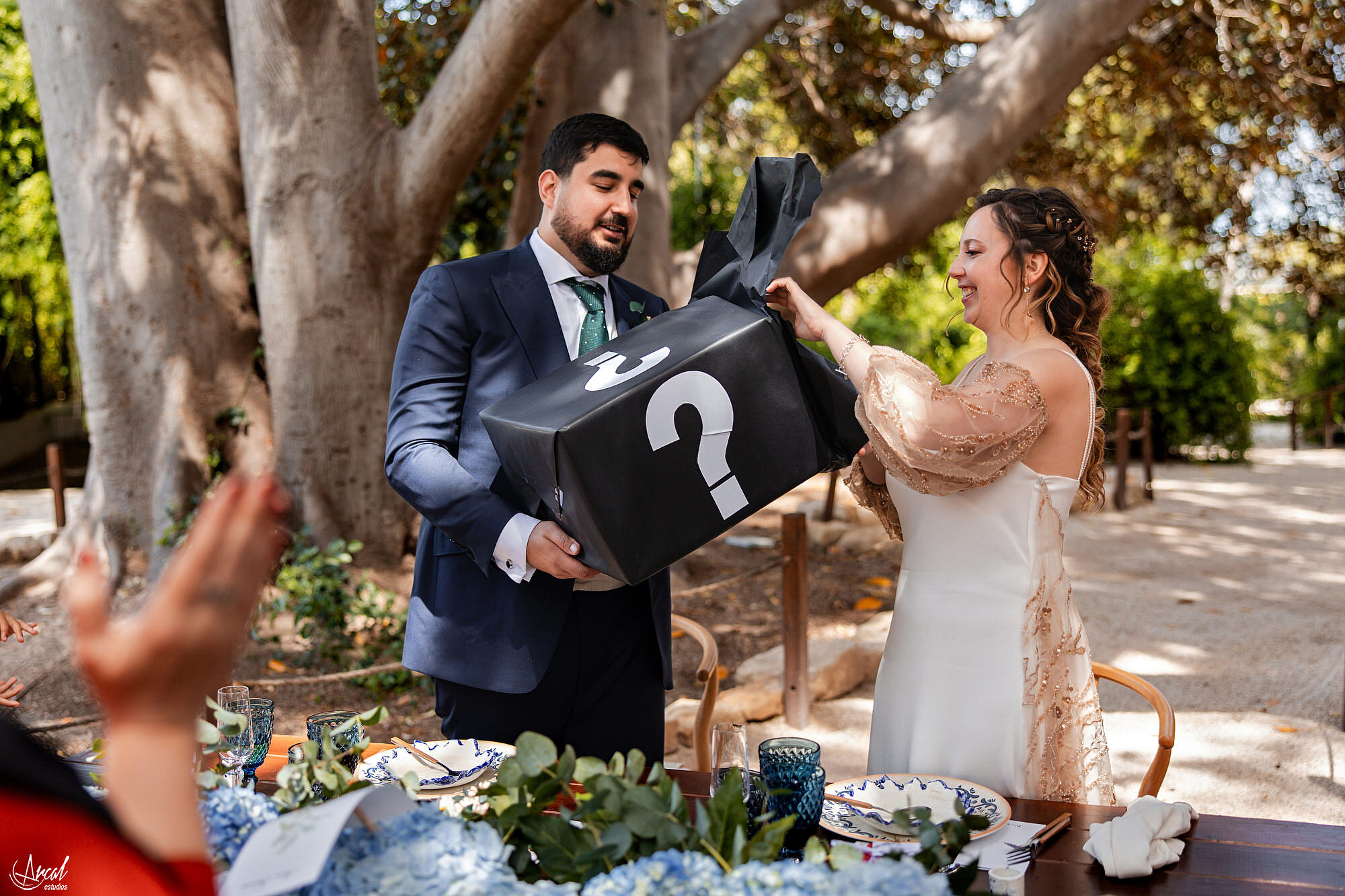 310_banquete-boda-anais-antonio-arcalestudios-pablomontoro-jardinesdeabrilA.JPG_RRSS