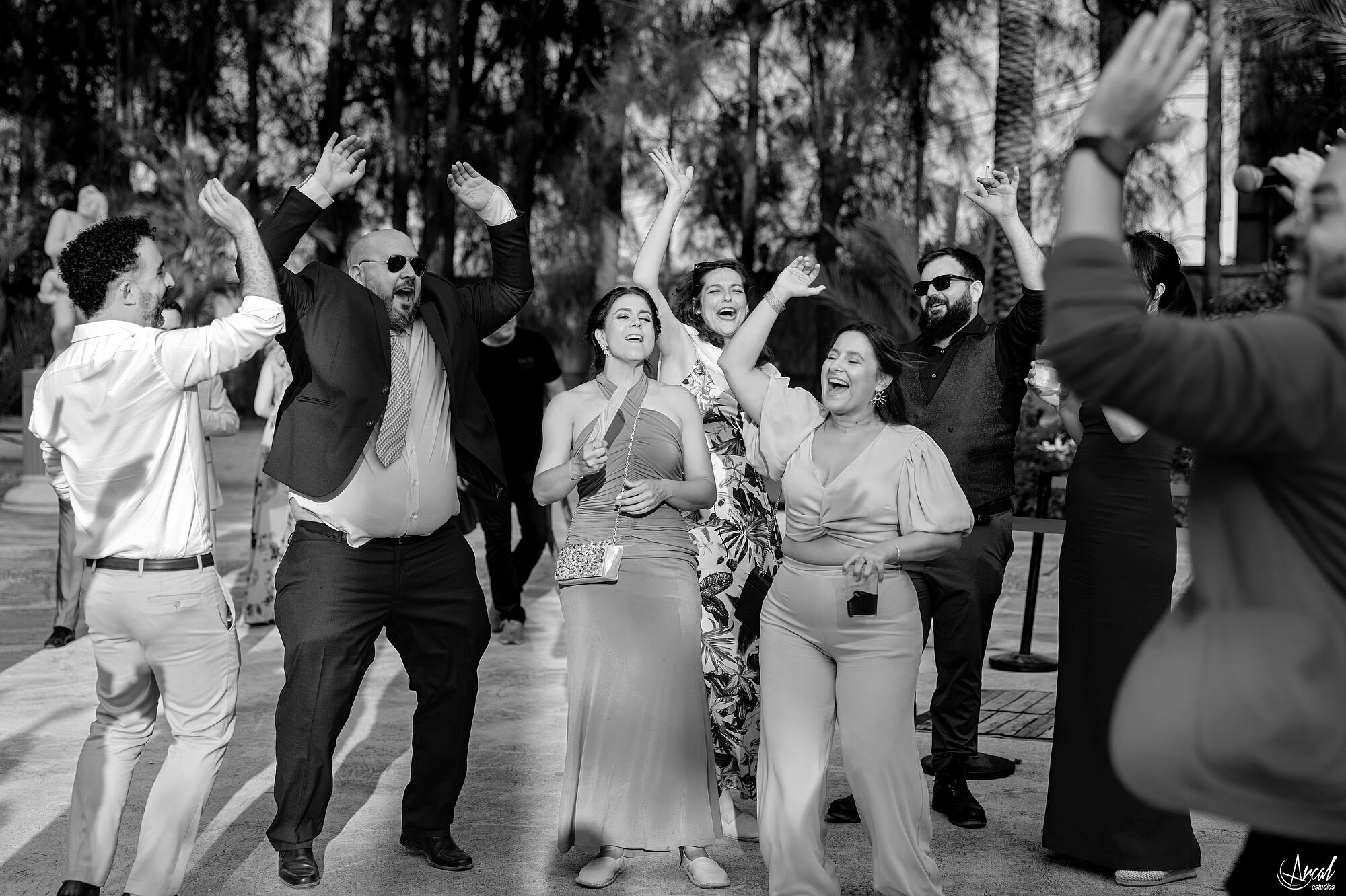 515_fiesta-boda-anais-antonio-arcalestudios-ritmovil-swagmusical.JPG_RRSS