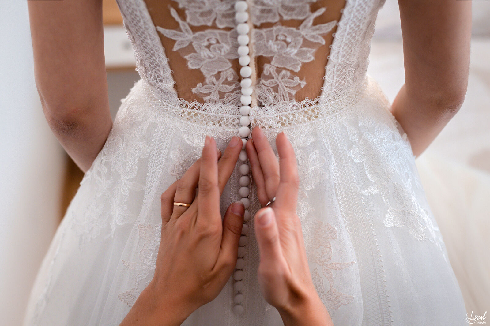 Fiesta - Arcal Estudios