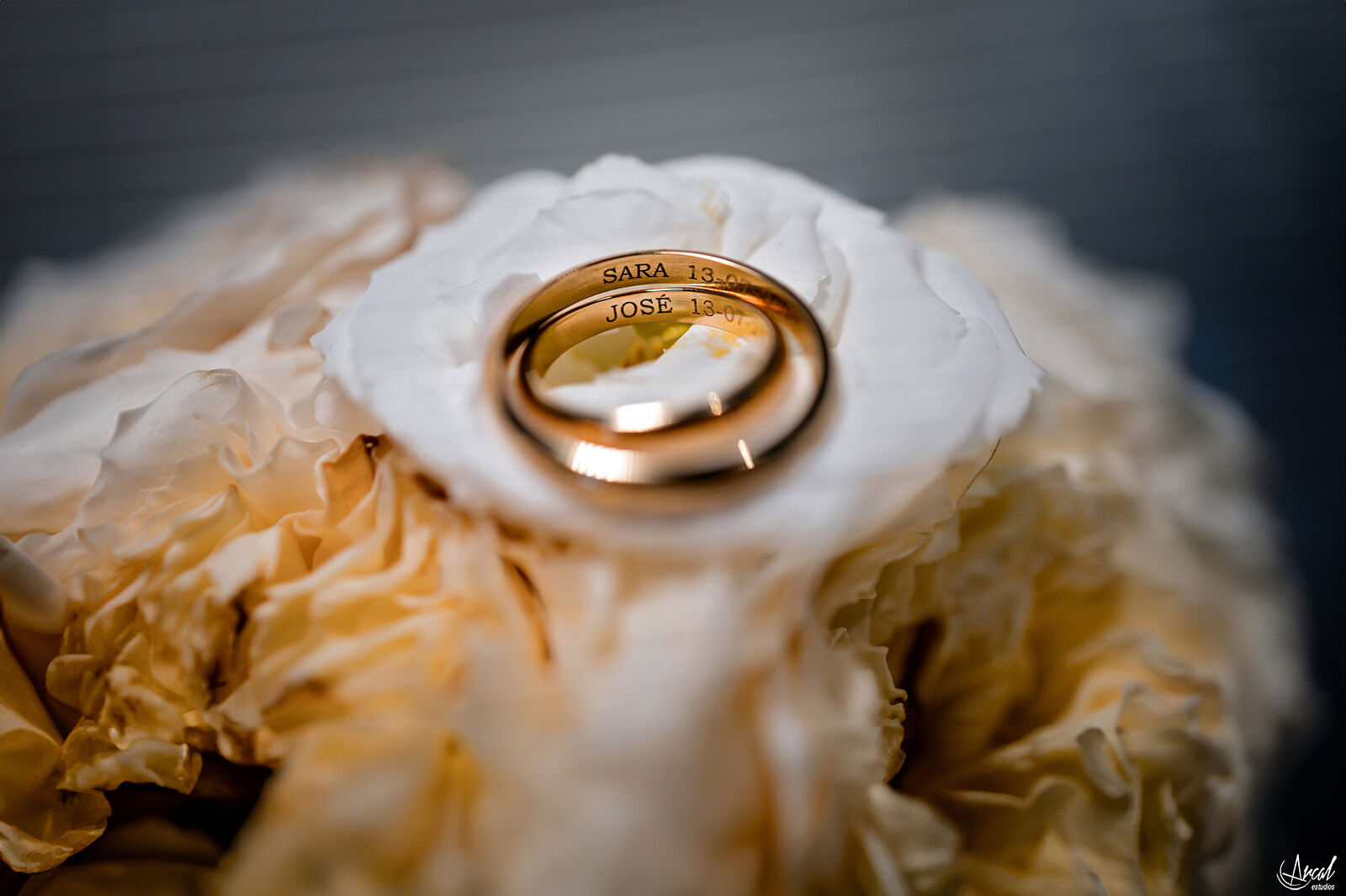 Momentos con amigos - Arcal Estudios