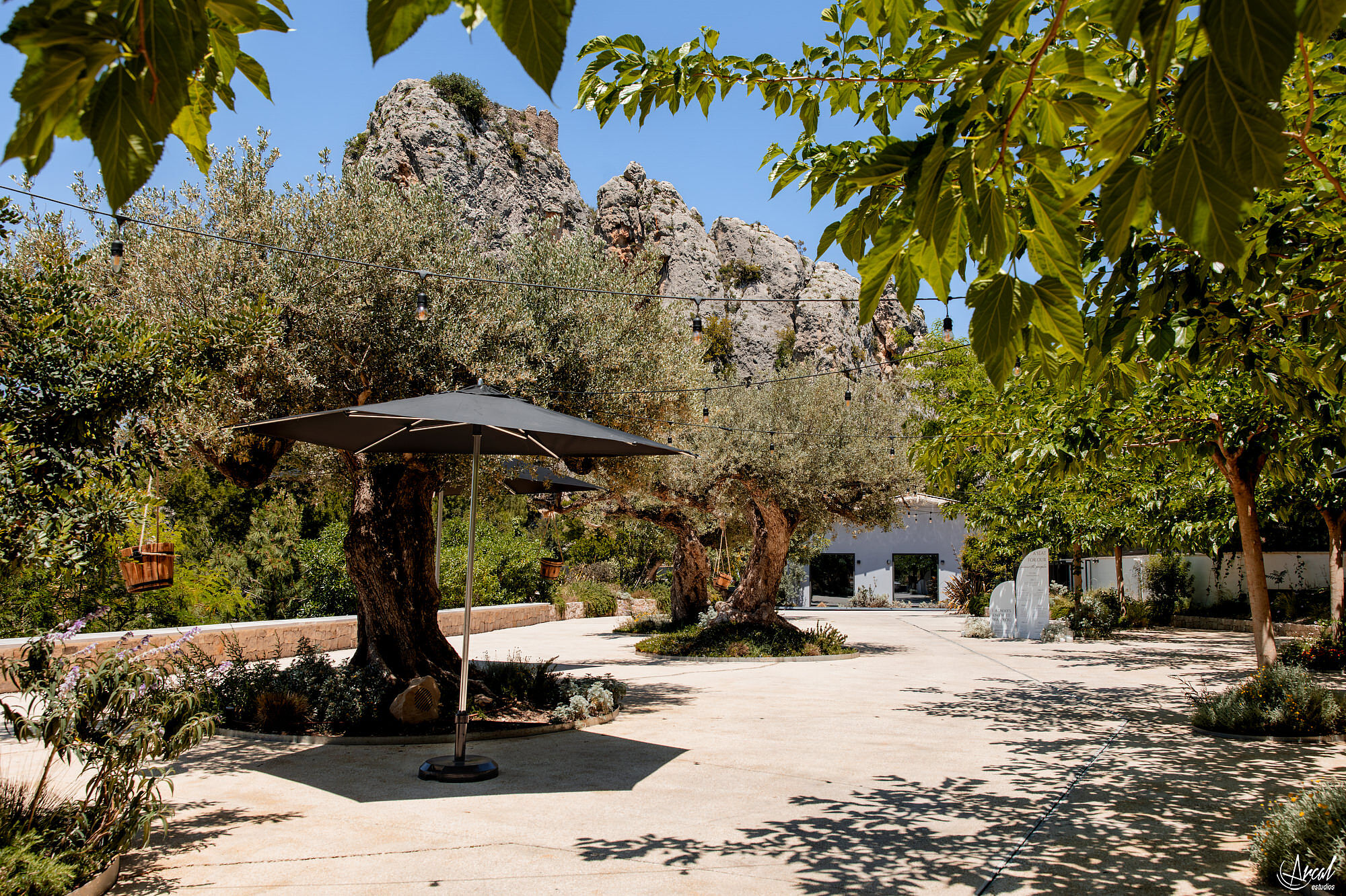 0870_wesley-amanda-vivood-wedding by @arcalestudios-Mejorado-NRA