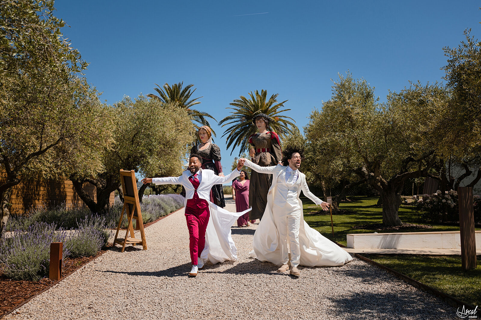Ejemplo de vídeo de boda - Arcal Estudios