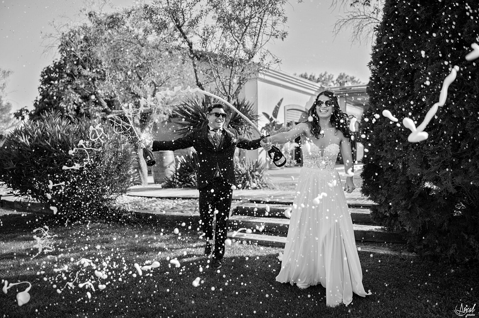 Momentos de boda - Arcal Estudios