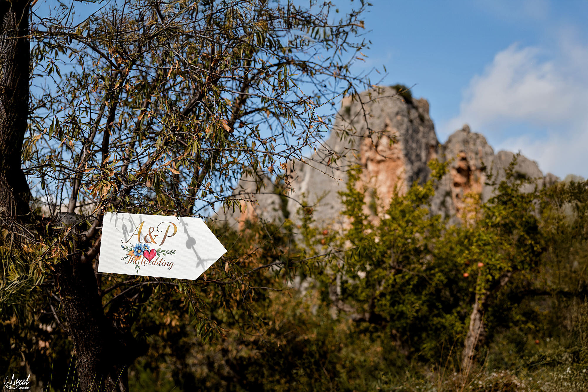 270_arianne-phillipe-wedding-vivood-landscape-hotel-alicante-arcal-estudiosA