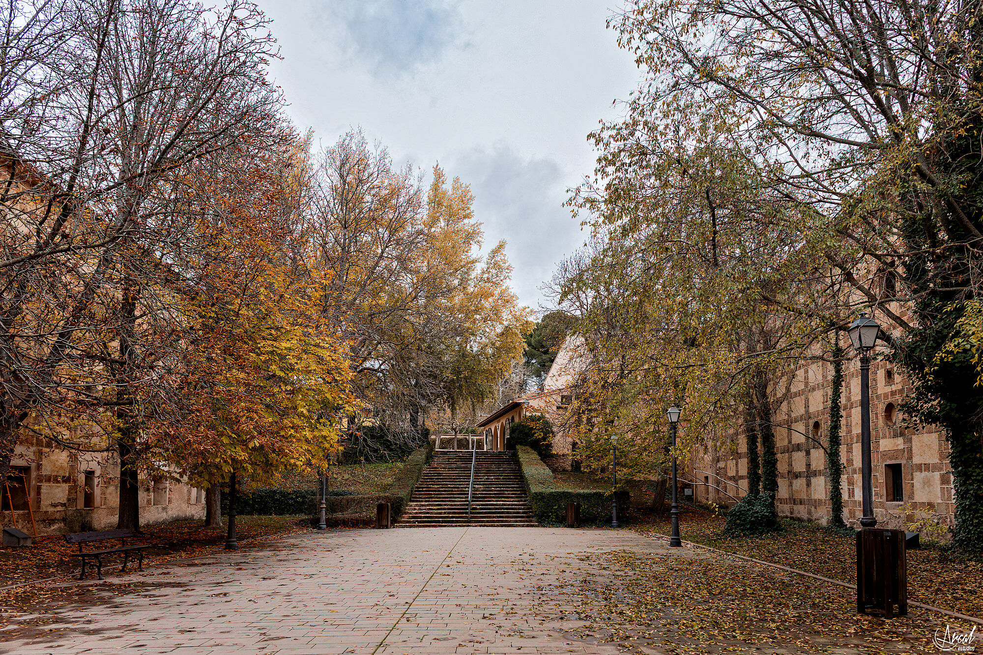 052_postboda-sara-jose-monasterio-piedra-zaragozaA